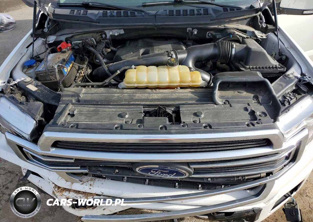 2020 Ford F150 Supercrew VIN:1FTEW1EG2LFC69893 - 11