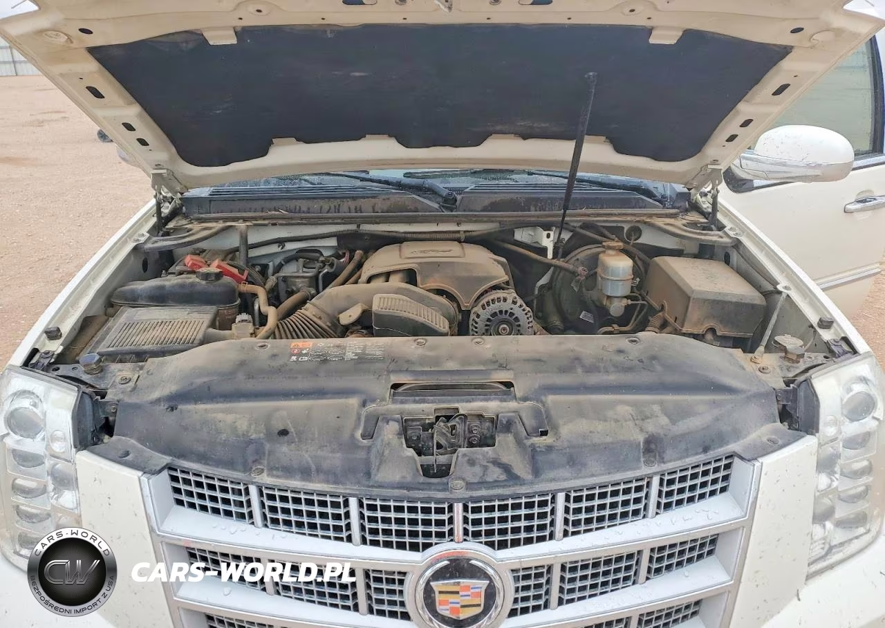 2013 Cadillac Escalade Esv Platinum VIN:1GYS4KEF1DR154069 - 12