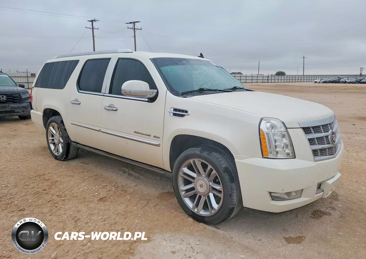 2013 Cadillac Escalade Esv Platinum VIN:1GYS4KEF1DR154069 - 4