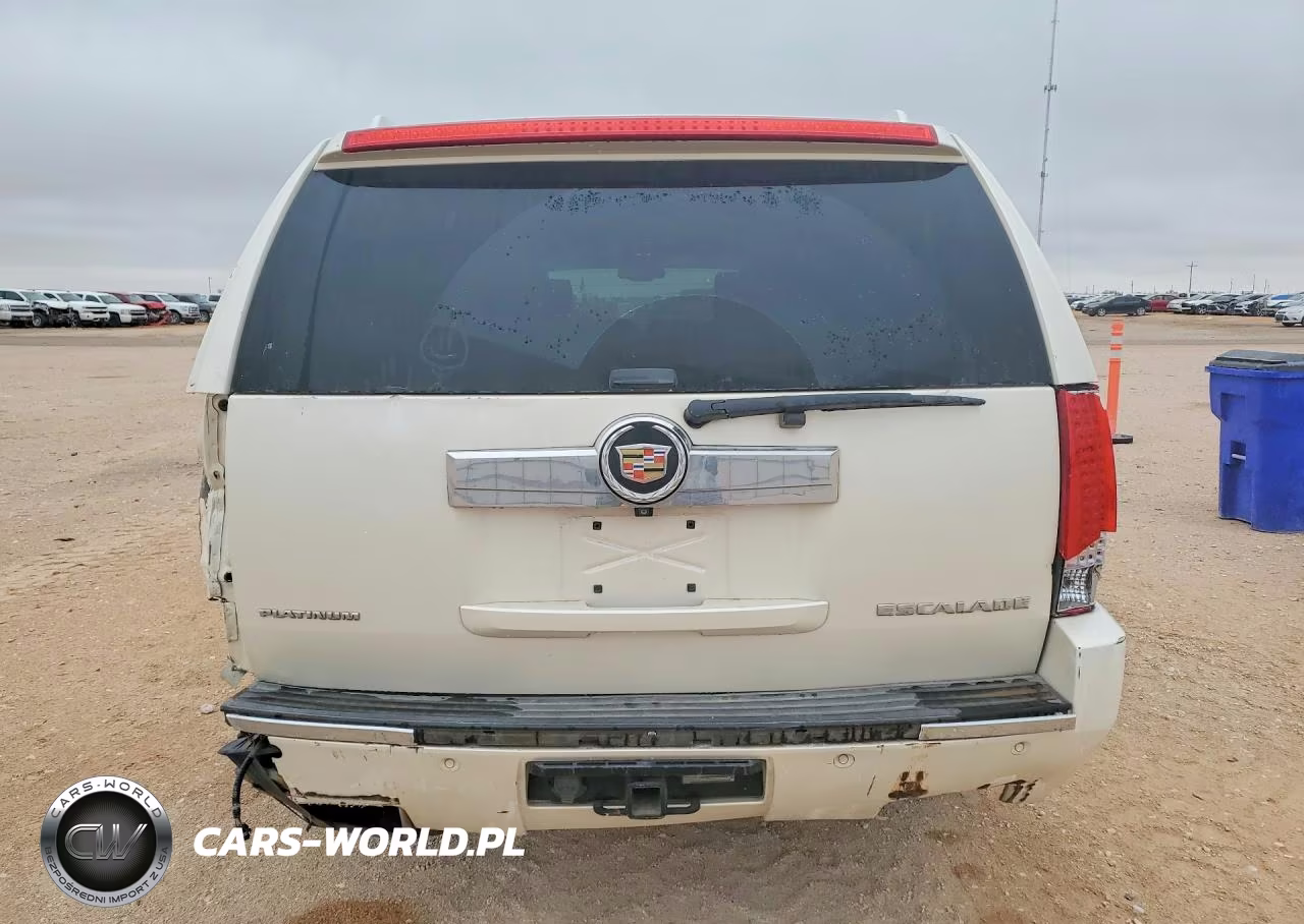 2013 Cadillac Escalade Esv Platinum VIN:1GYS4KEF1DR154069 - 6