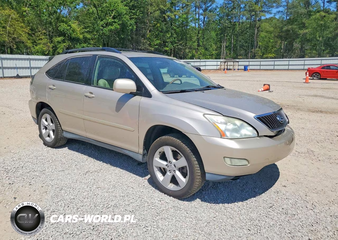 2006 Lexus Rx VIN:2T2GA31U26C050651 - 4