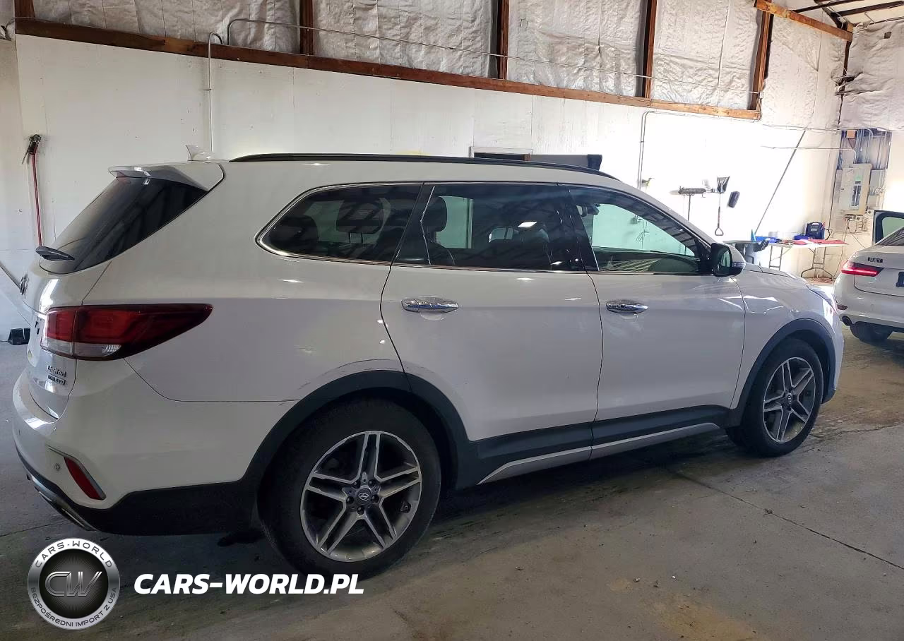 2017 Hyundai Santa Fe Limited Ultimate VIN:KM8SRDHF0HU170602 - 3