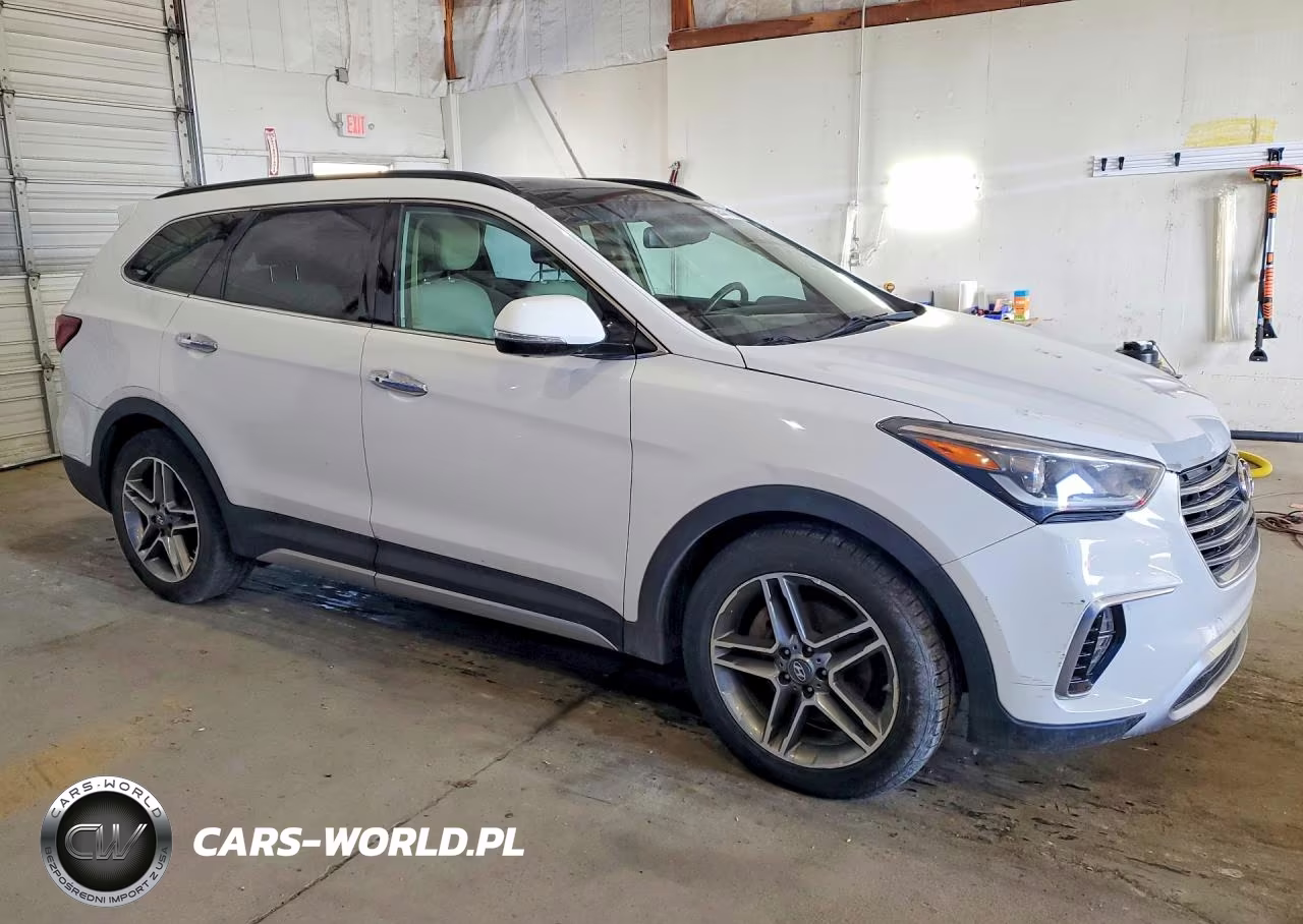 2017 Hyundai Santa Fe Limited Ultimate VIN:KM8SRDHF0HU170602 - 4