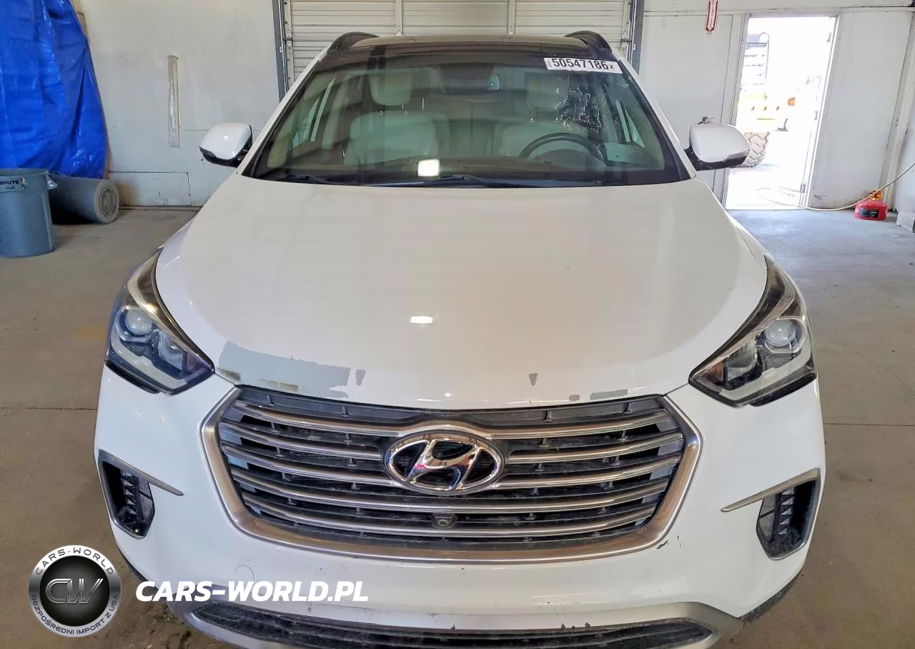 2017 Hyundai Santa Fe Limited Ultimate VIN:KM8SRDHF0HU170602 - 5