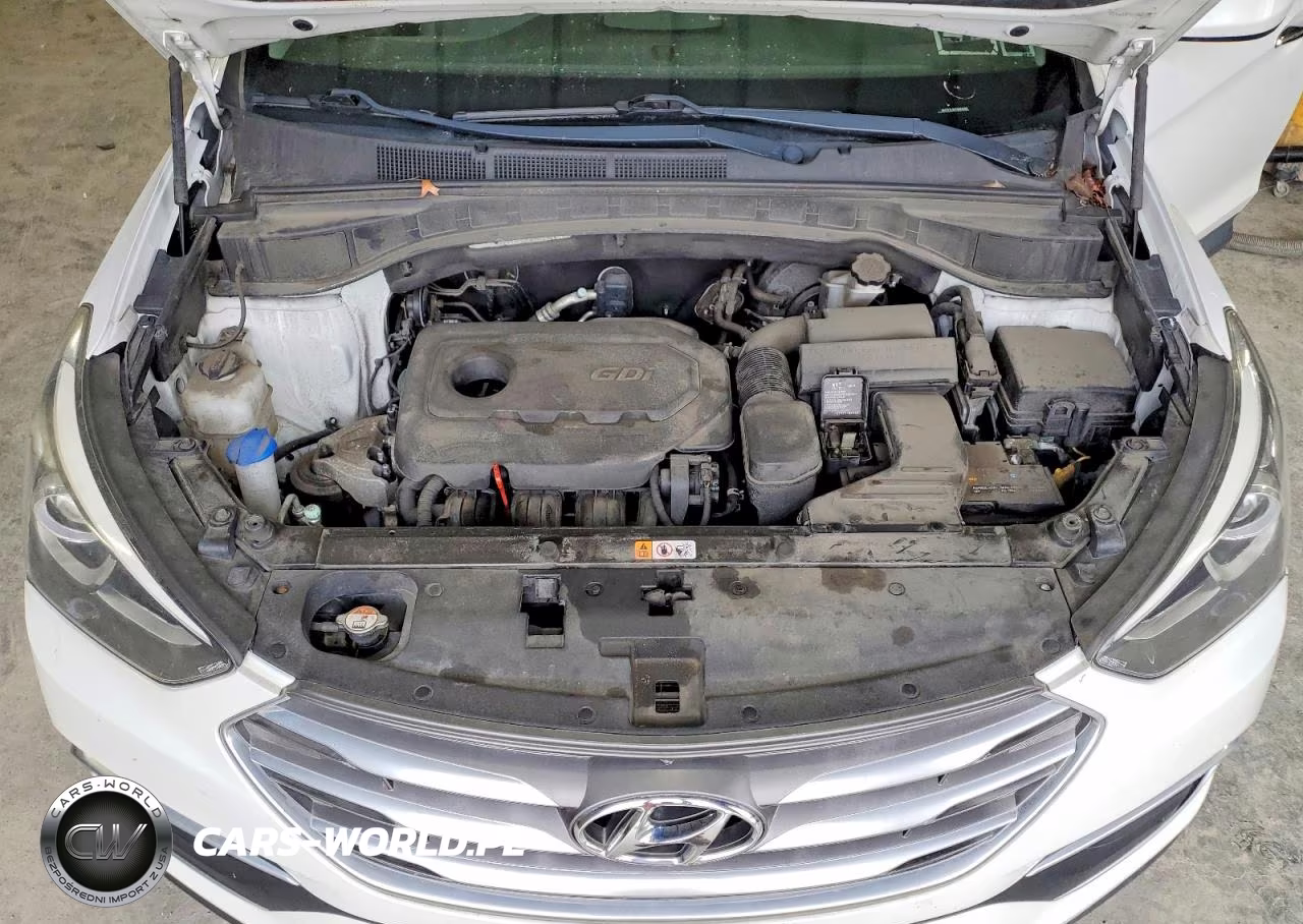 2018 Hyundai Santa Fe Sport 2.4L VIN:5XYZT3LB2JG564984 - 12
