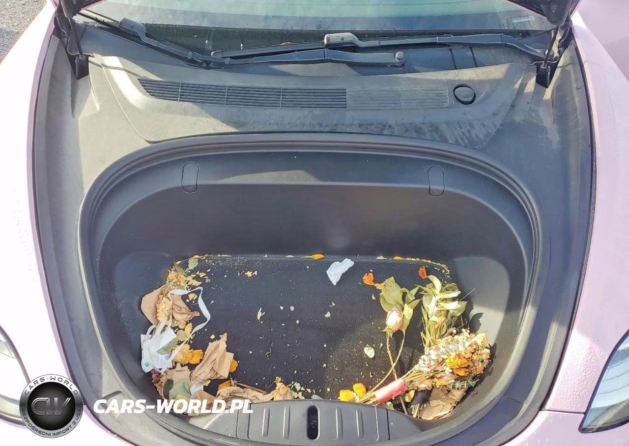2018 Tesla Model 3 VIN:5YJ3E1EB1JF116549 - 11