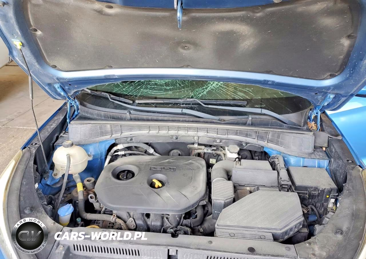 2018 Hyundai Tucson Sel VIN:KM8J33A47JU619831 - 12
