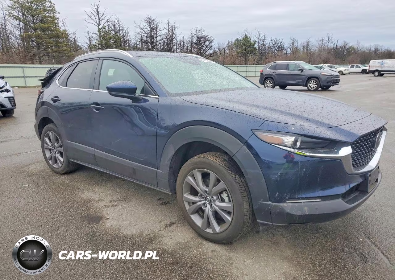 2025 Mazda Cx-30 Preferred VIN:3MVDMBCM5SM756910 - 4