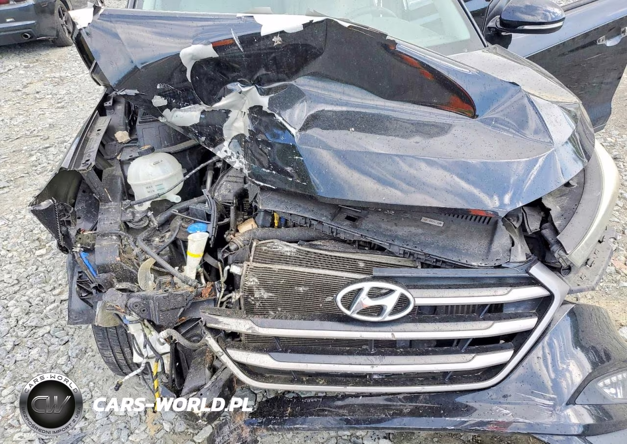 2016 Hyundai Tucson Eco VIN:KM8J33A27GU242070 - 12