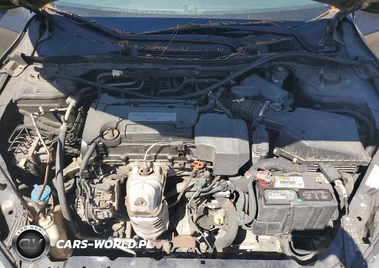 2013 Honda Accord Lx VIN:1HGCR2F3XDA284318 - 11