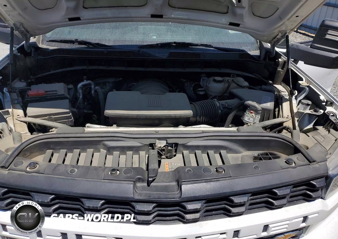 2019 Chevrolet Silverado K1500 Custom VIN:3GCUYBEF0KG700943 - 11
