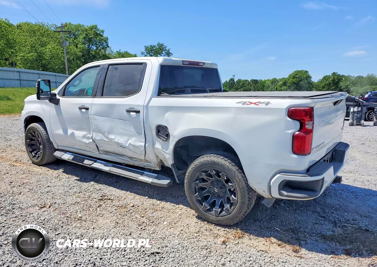 2019 Chevrolet Silverado K1500 Custom VIN:3GCUYBEF0KG700943 - 2