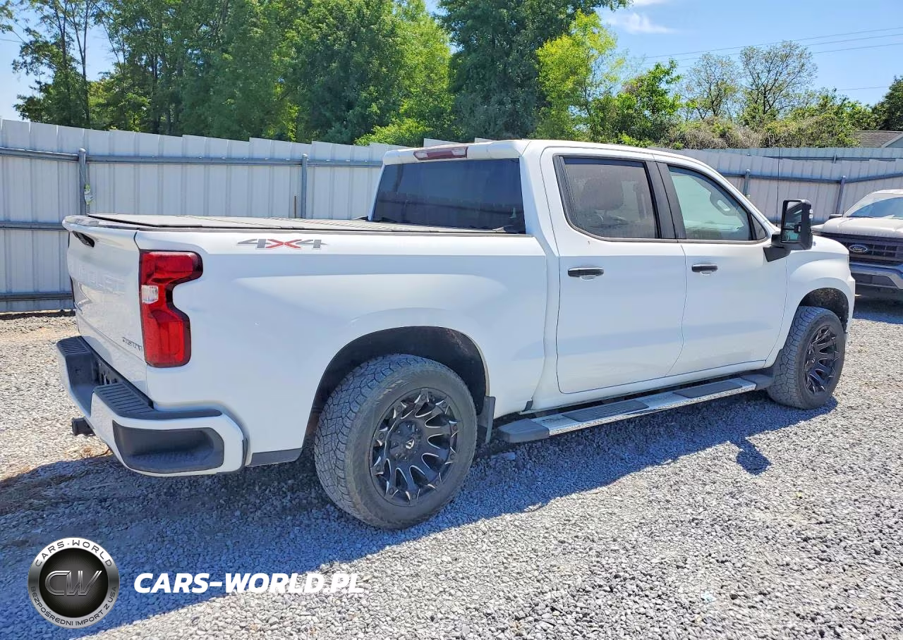 2019 Chevrolet Silverado K1500 Custom VIN:3GCUYBEF0KG700943 - 3