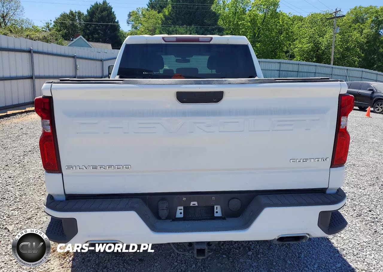 2019 Chevrolet Silverado K1500 Custom VIN:3GCUYBEF0KG700943 - 6