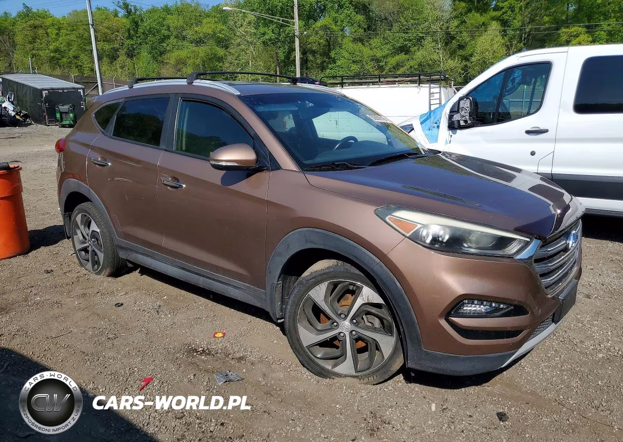 2017 Hyundai Tucson Limited VIN:KM8J3CA22HU358150 - 4