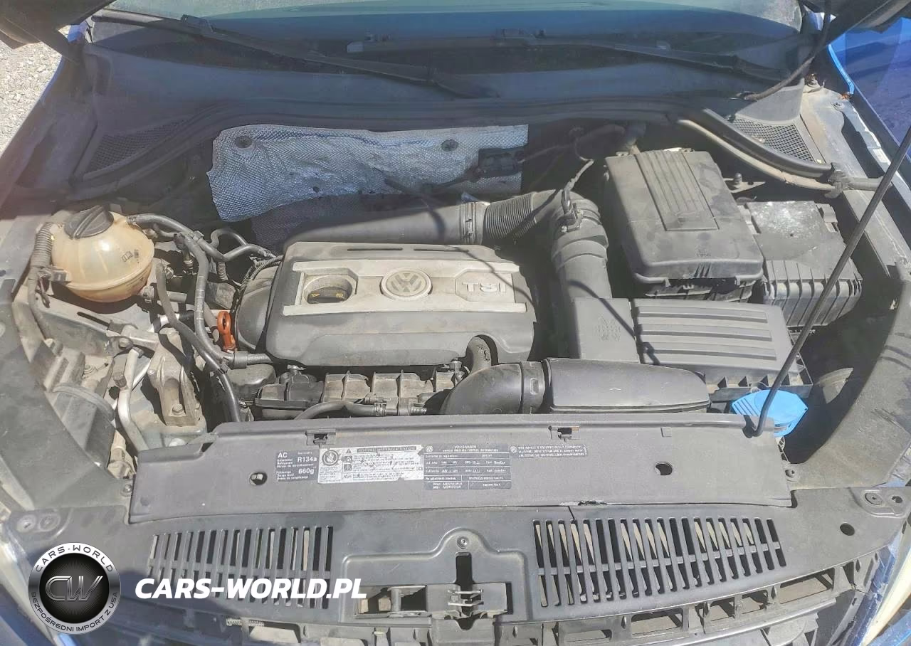 2010 Volkswagen Tiguan Se VIN:WVGBV7AX6AW000979 - 12