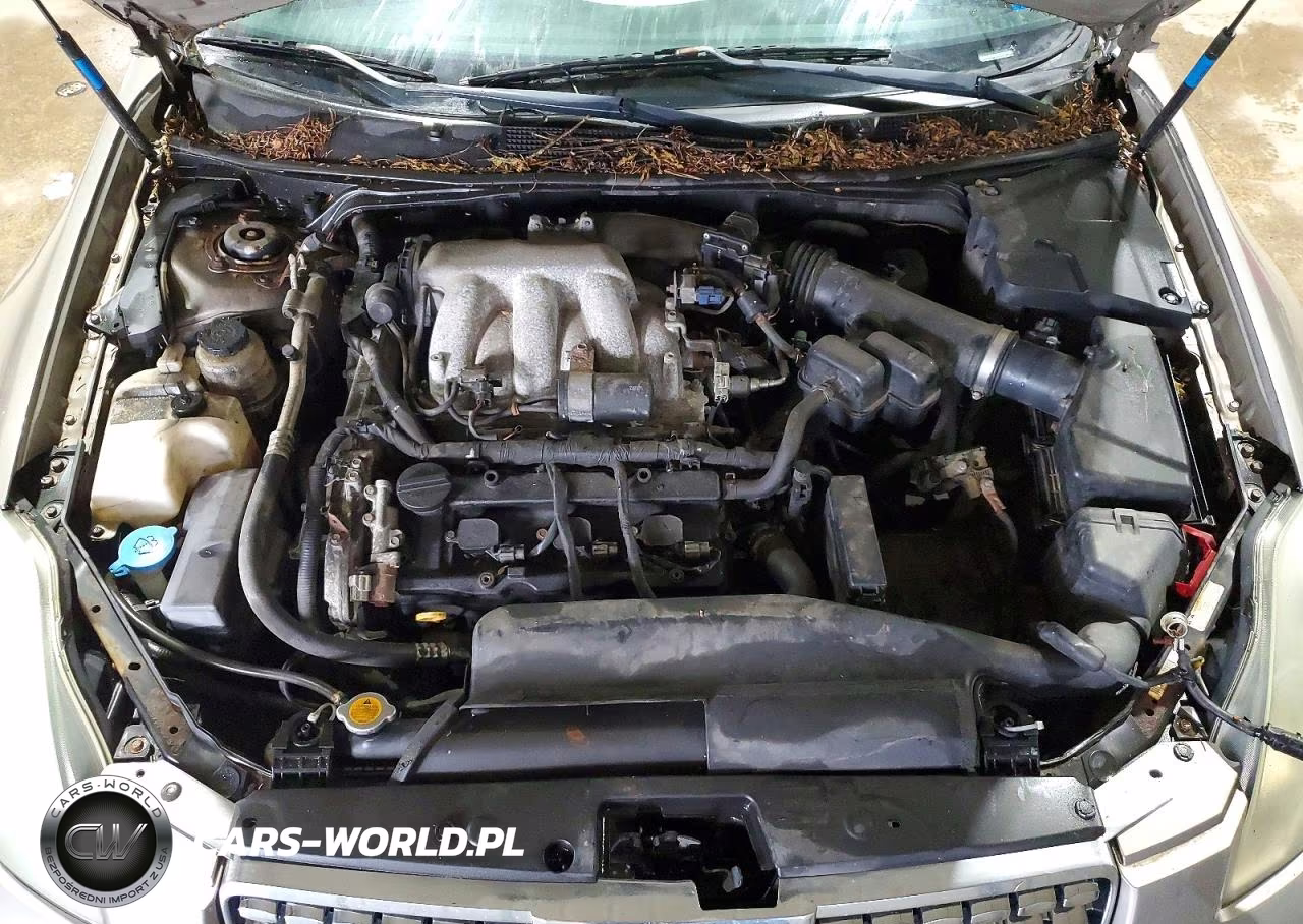 2006 Nissan Maxima VIN:1N4BA41E76C803599 - 11