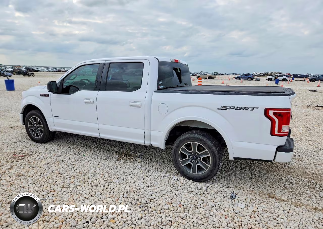 2016 Ford F150 VIN:1FTEW1CP1GKF45058 - 2
