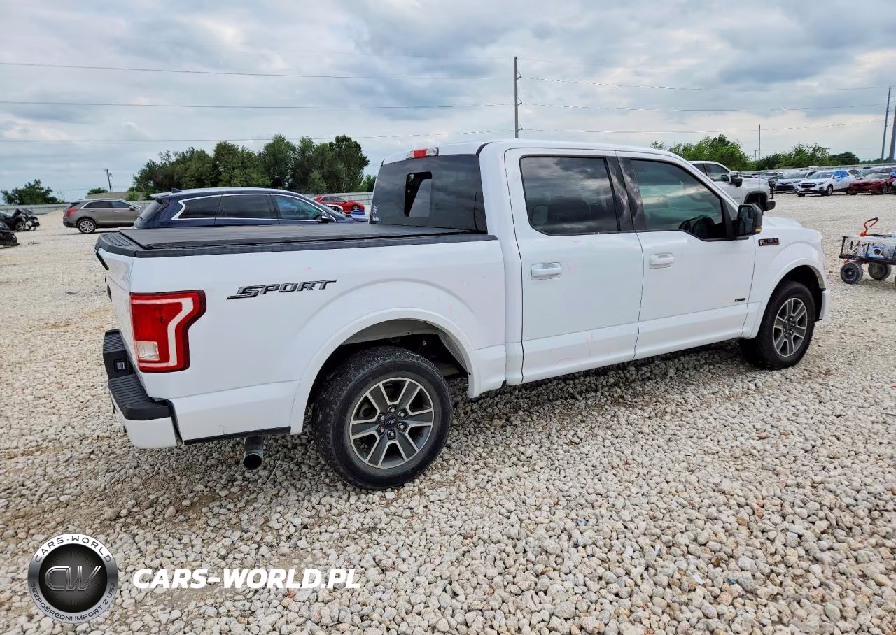 2016 Ford F150 VIN:1FTEW1CP1GKF45058 - 3