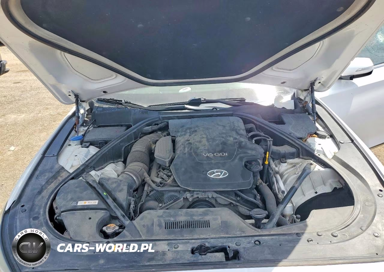 2015 Hyundai Genesis 3.8L VIN:KMHGN4JE4FU017706 - 11