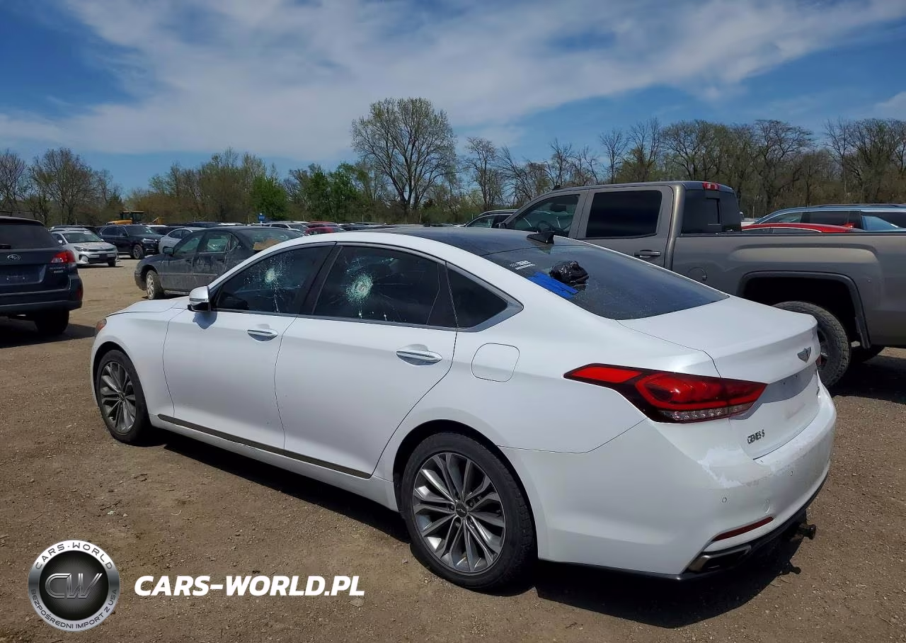 2015 Hyundai Genesis 3.8L VIN:KMHGN4JE4FU017706 - 2