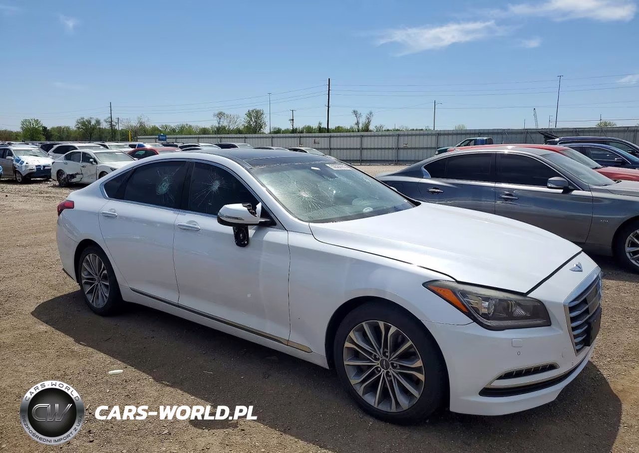 2015 Hyundai Genesis 3.8L VIN:KMHGN4JE4FU017706 - 4