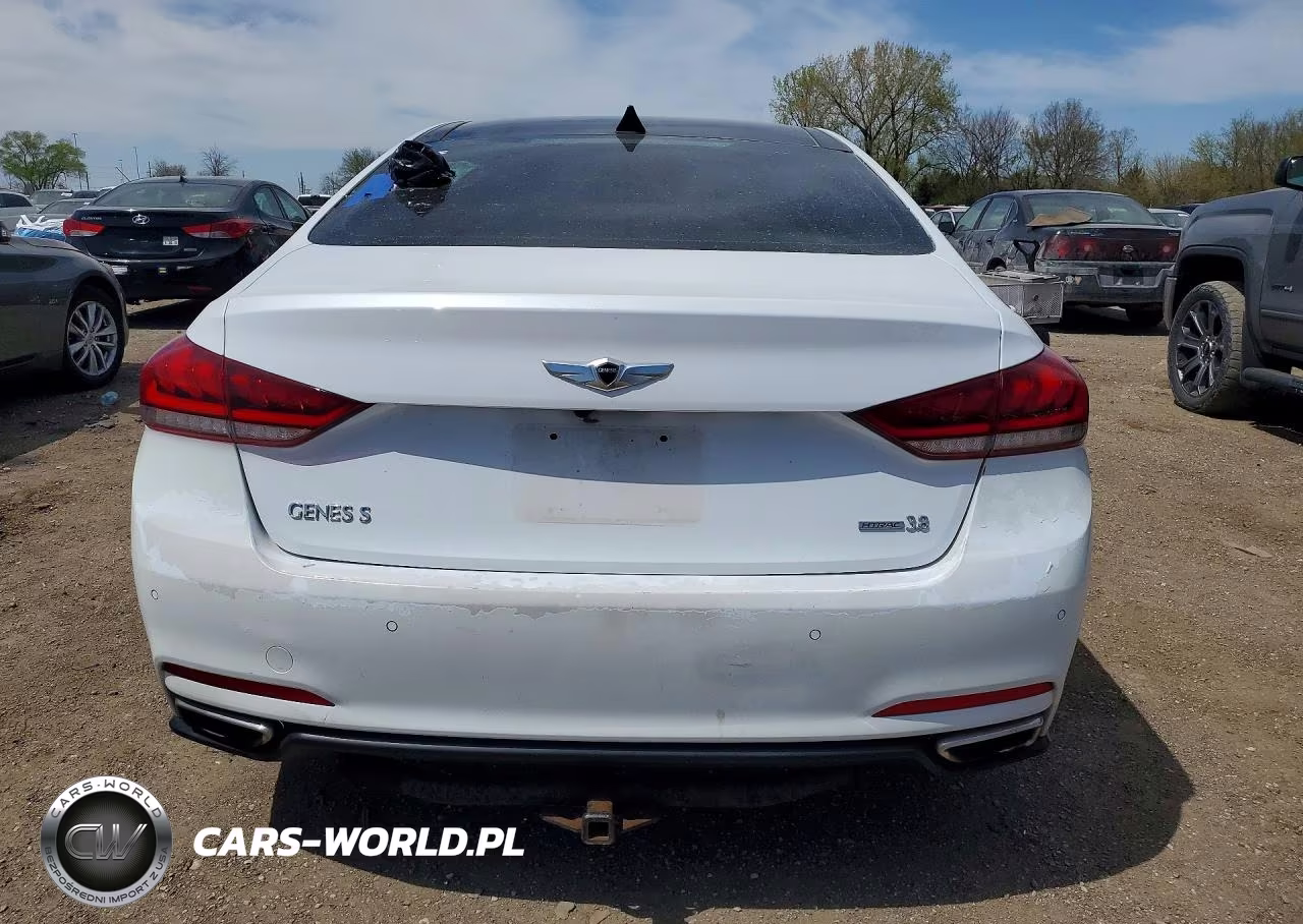 2015 Hyundai Genesis 3.8L VIN:KMHGN4JE4FU017706 - 6