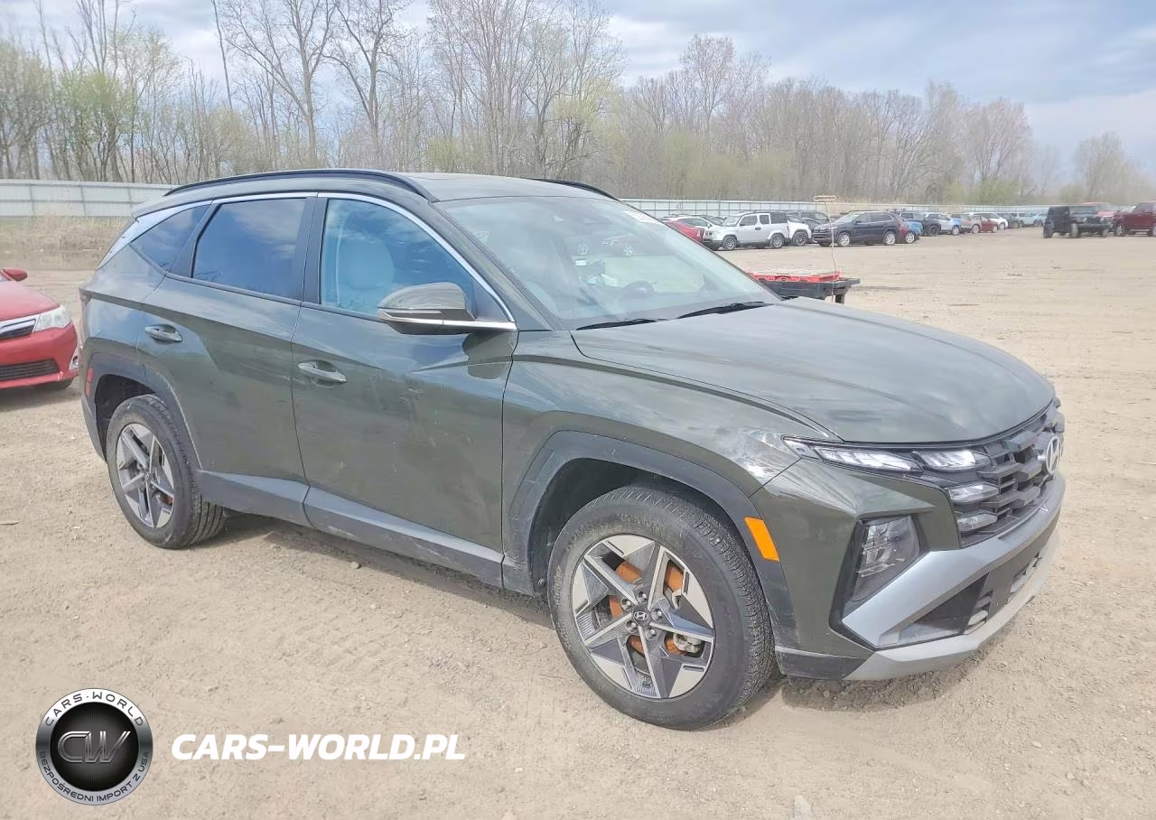 2025 Hyundai Tucson Sel VIN:5NMJCCDE2SH587503 - 4