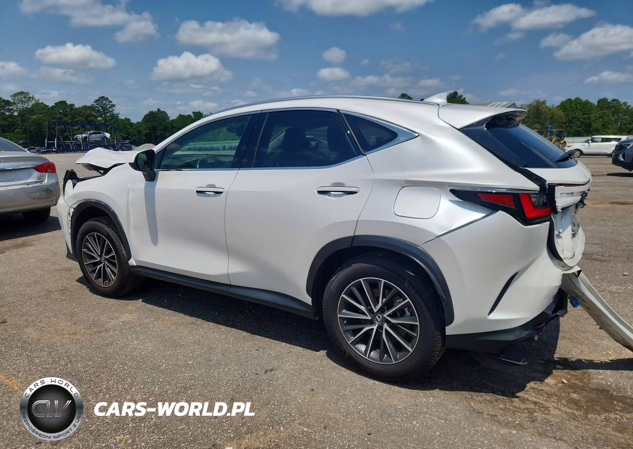 2023 Lexus Nx 250 VIN:JTJGDCAZ7P5012271 - 2