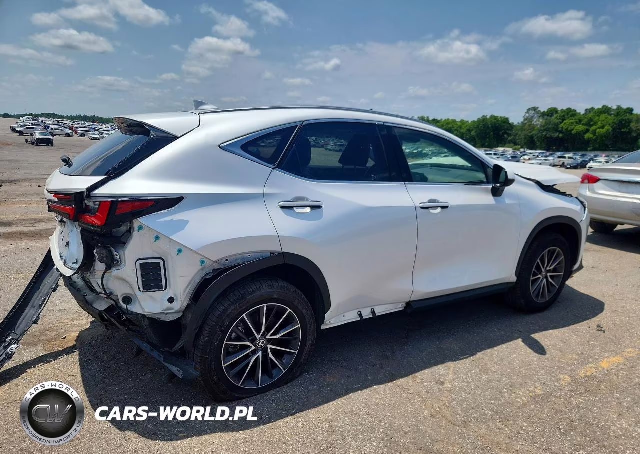 2023 Lexus Nx 250 VIN:JTJGDCAZ7P5012271 - 3