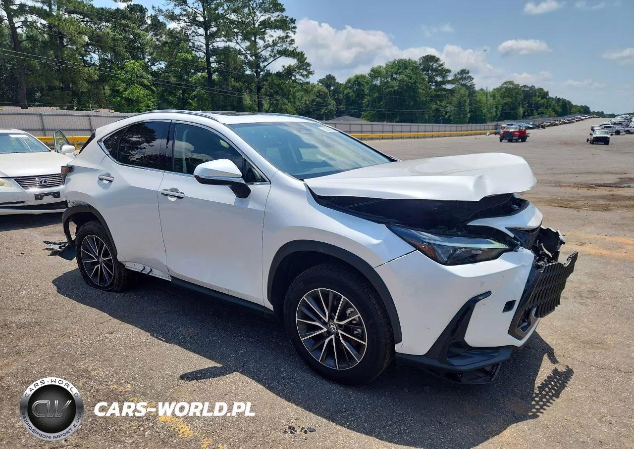 2023 Lexus Nx 250 VIN:JTJGDCAZ7P5012271 - 4