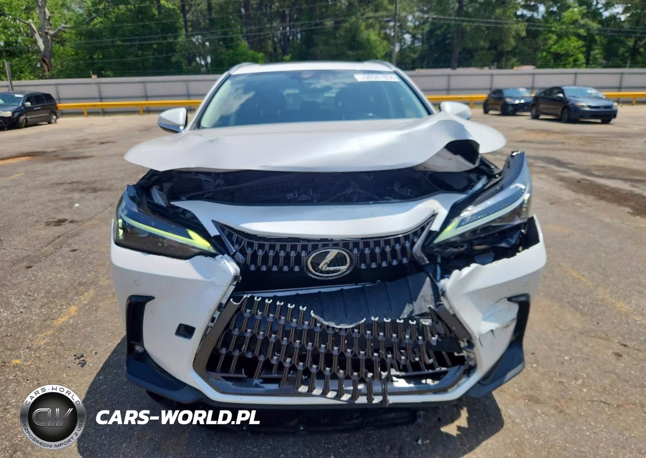 2023 Lexus Nx 250 VIN:JTJGDCAZ7P5012271 - 5