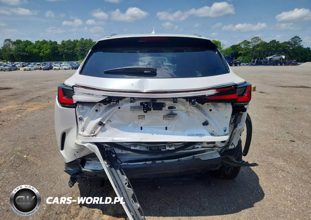 2023 Lexus Nx 250 VIN:JTJGDCAZ7P5012271 - 6