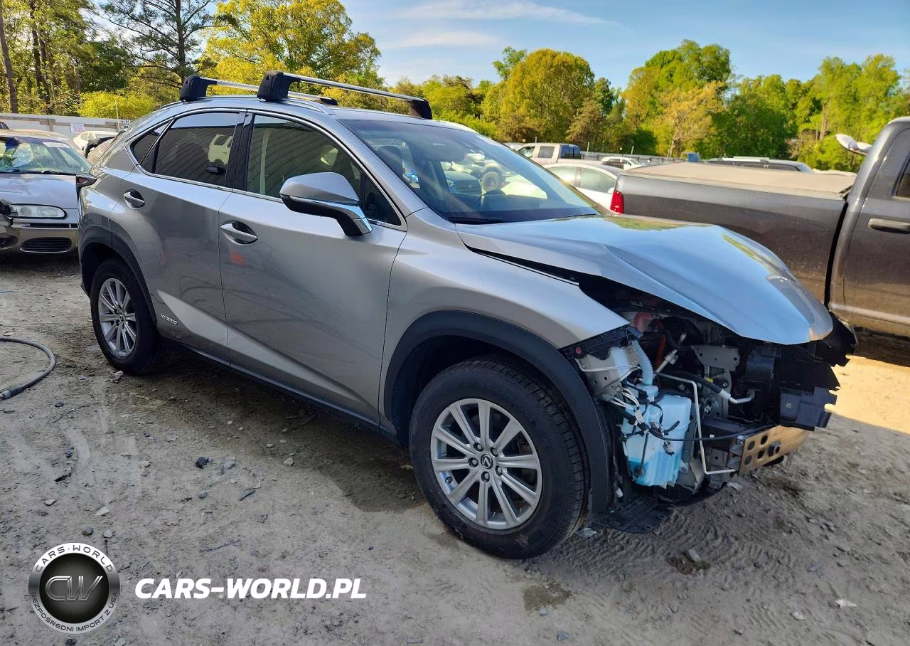2018 Lexus Nx 300H VIN:JTJBJRBZ7J2091339 - 4