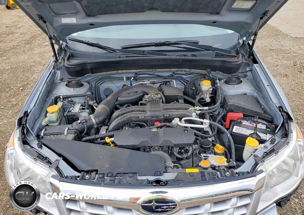 2013 Subaru Forester 2.5X VIN:JF2SHABC2DH425419 - 12