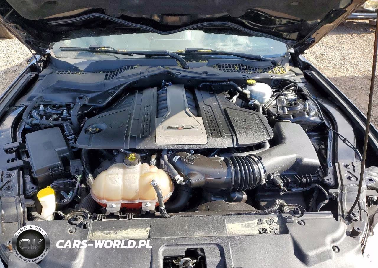2019 Ford Mustang Gt VIN:1FA6P8CF9K5152620 - 11