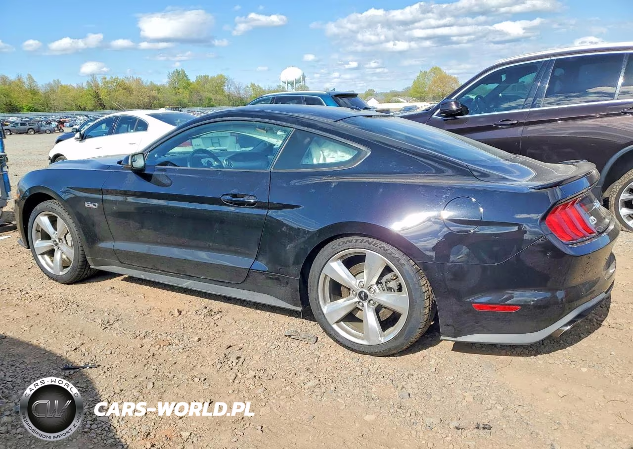 2019 Ford Mustang Gt VIN:1FA6P8CF9K5152620 - 2