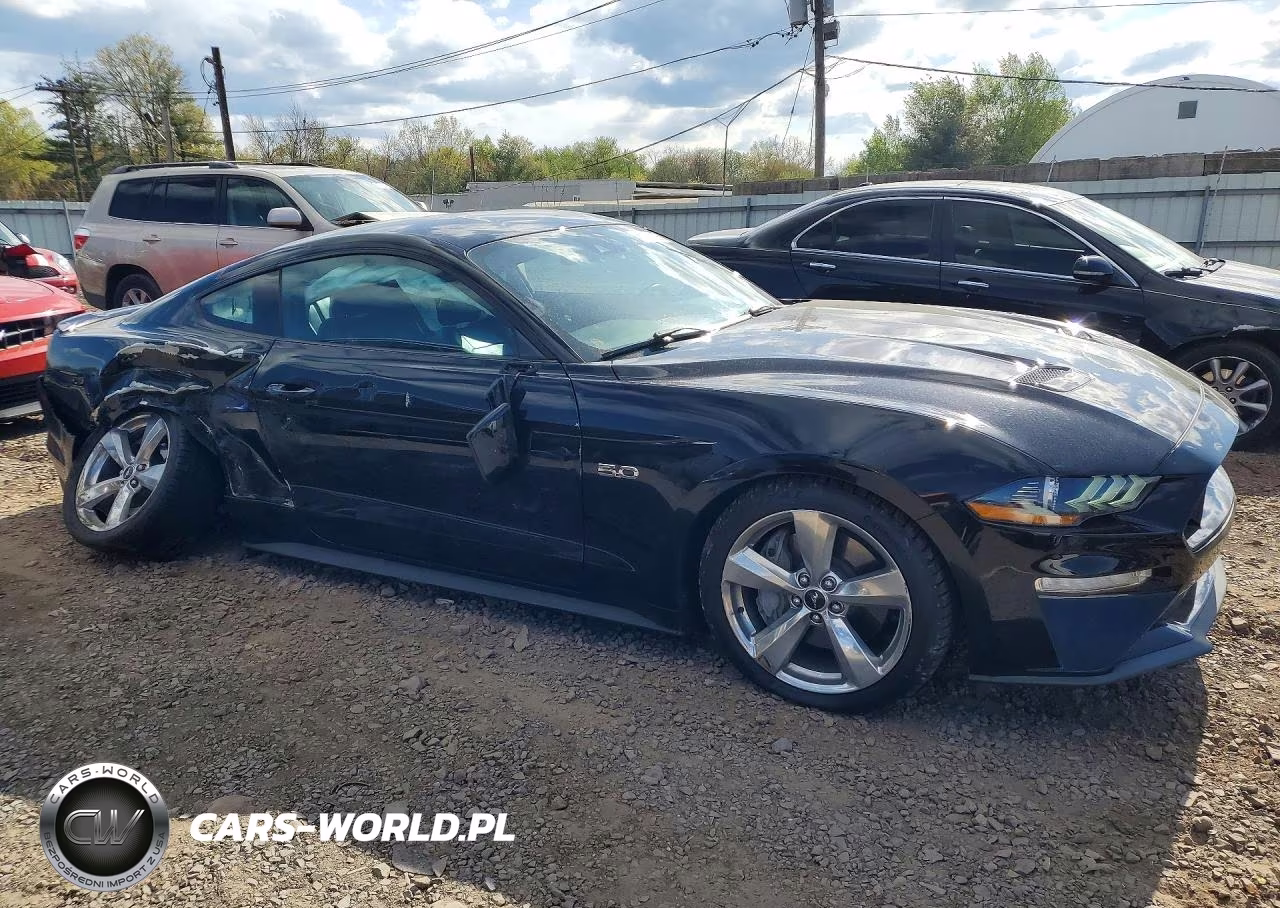 2019 Ford Mustang Gt VIN:1FA6P8CF9K5152620 - 4
