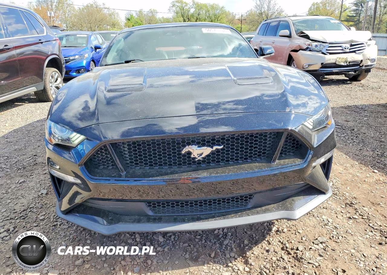 2019 Ford Mustang Gt VIN:1FA6P8CF9K5152620 - 5