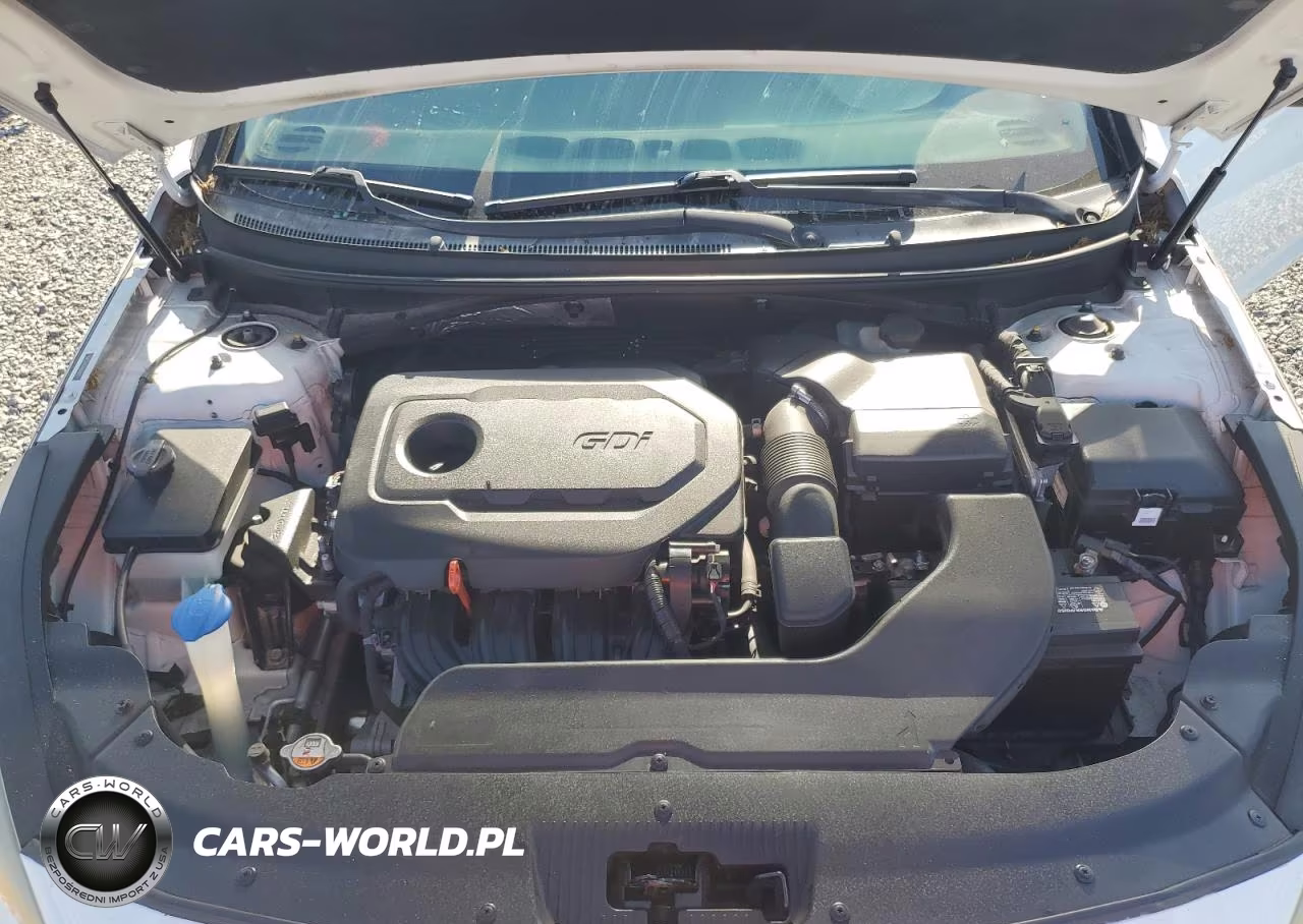 2016 Hyundai Sonata Se VIN:5NPE24AF2GH294833 - 11