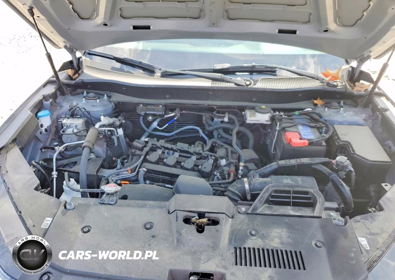 2025 Honda Cr-V Lx VIN:7FARS4H20SE007067 - 12