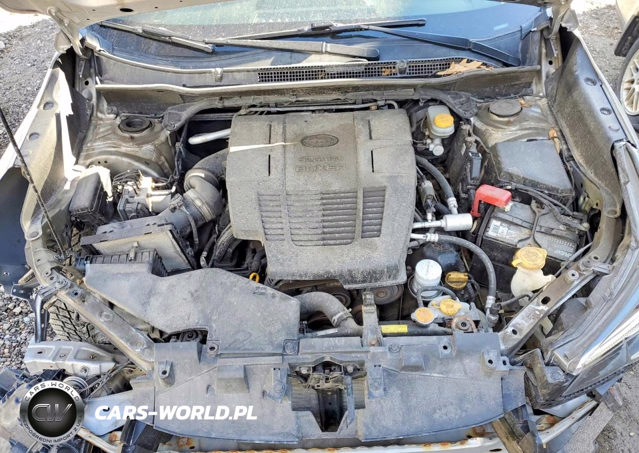 2019 Subaru Forester Premium VIN:JF2SKAEC4KH503418 - 12