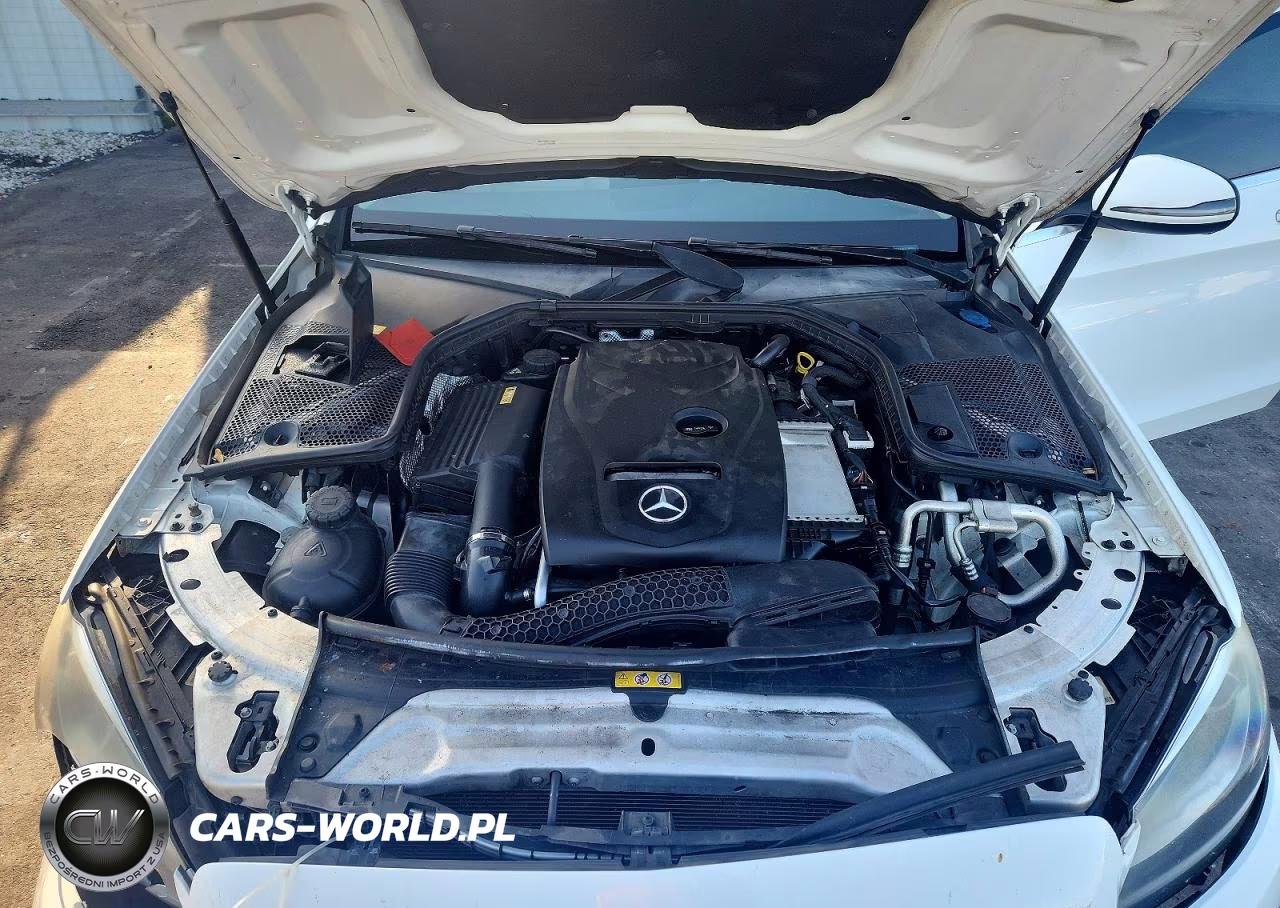 2016 Mercedes-Benz C 300 VIN:55SWF4JB8GU158676 - 11