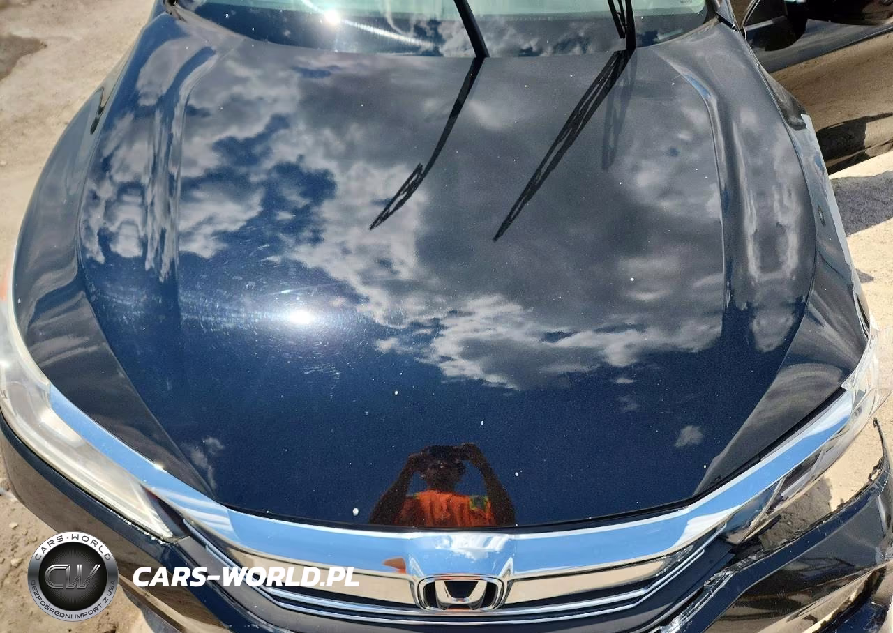 2017 Honda Accord Lx VIN:1HGCR2F36HA193455 - 11