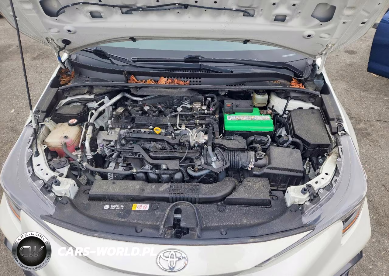 2020 Toyota Corolla Se VIN:JTDS4RCE7LJ013898 - 11