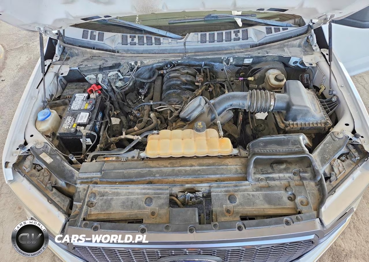 2019 Ford F150 Supercrew VIN:1FTEW1C55KFB03626 - 11