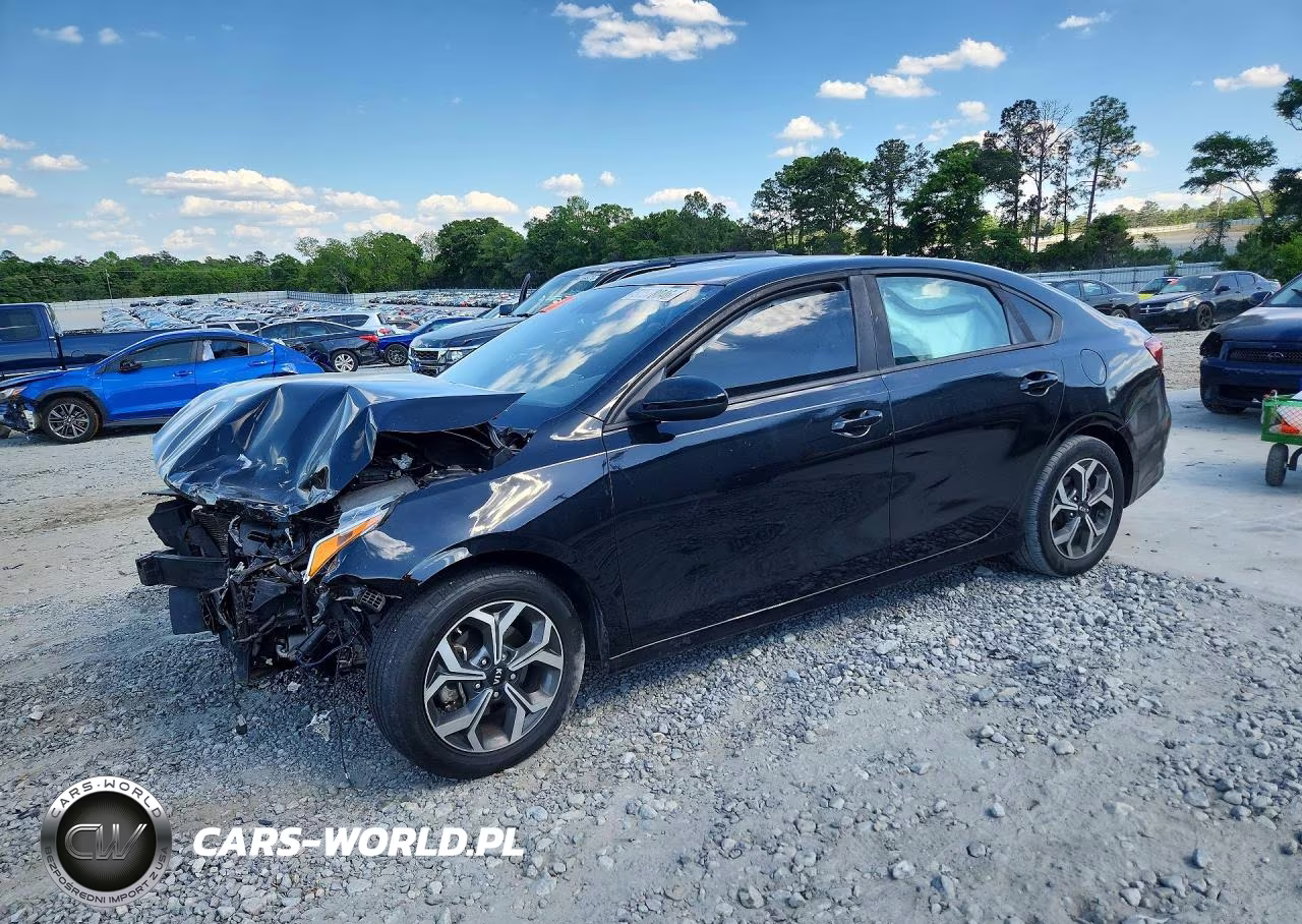 2019 Kia Forte Lxs