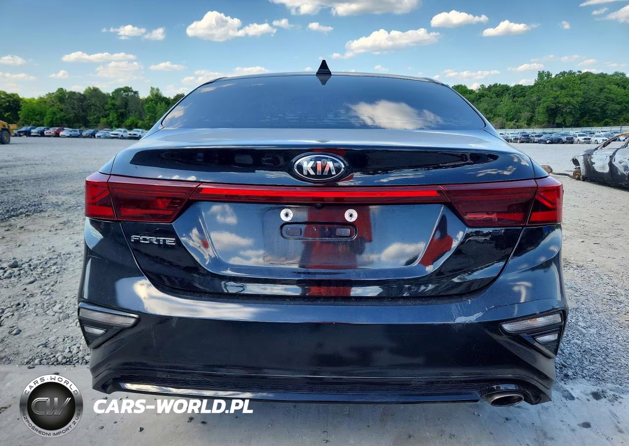 2019 Kia Forte Lxs VIN:3KPF24AD0KE013290 - 6