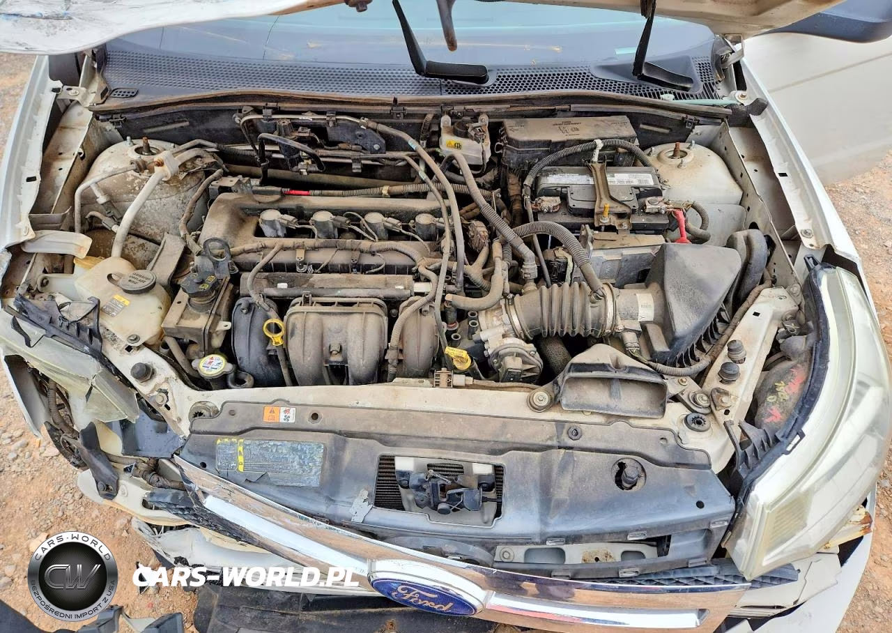 2010 Ford Focus S VIN:1FAHP3EN0AW240187 - 11