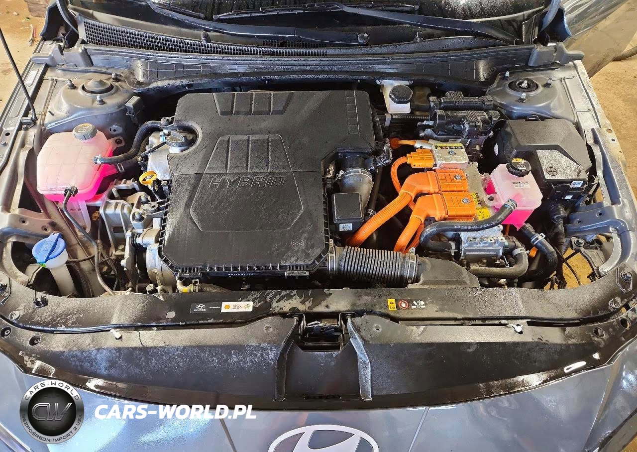 2024 Hyundai Elantra Blue VIN:KMHLM4DJ2RU097604 - 11